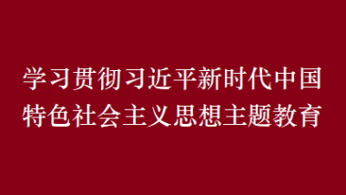 学习贯彻习近平新时代中国特色社会主义思想主题教育