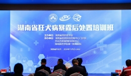 助力怀化门诊规范化、优质化建设 --湖南省狂犬病暴露后处置培训班圆满召开