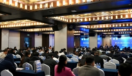 2024怀化市医学会医学信息学专业委员会、医防融合专业委员会联合学术会议举行